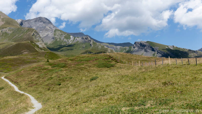 img_5518kopie-border-standard.jpg