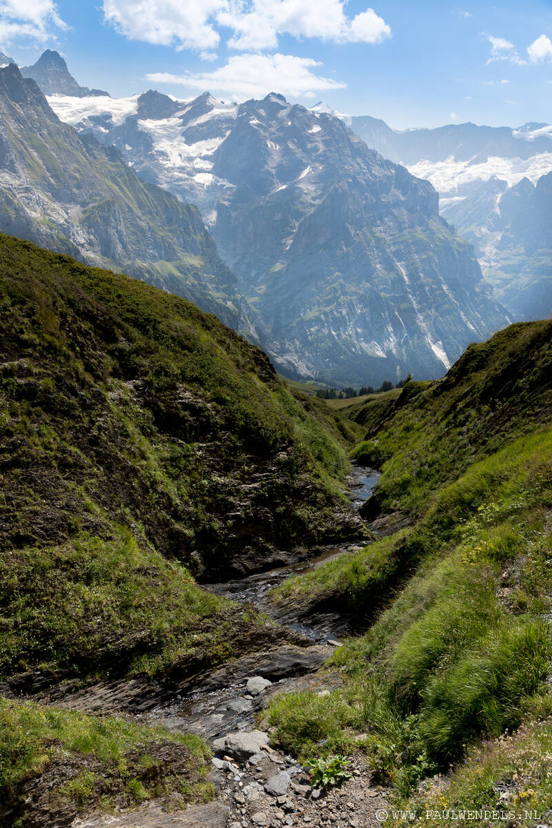 img_5734kopie-border-standard.jpg