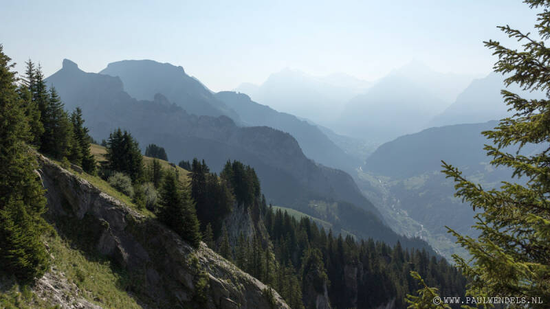 img_5978kopie-border-standard.jpg