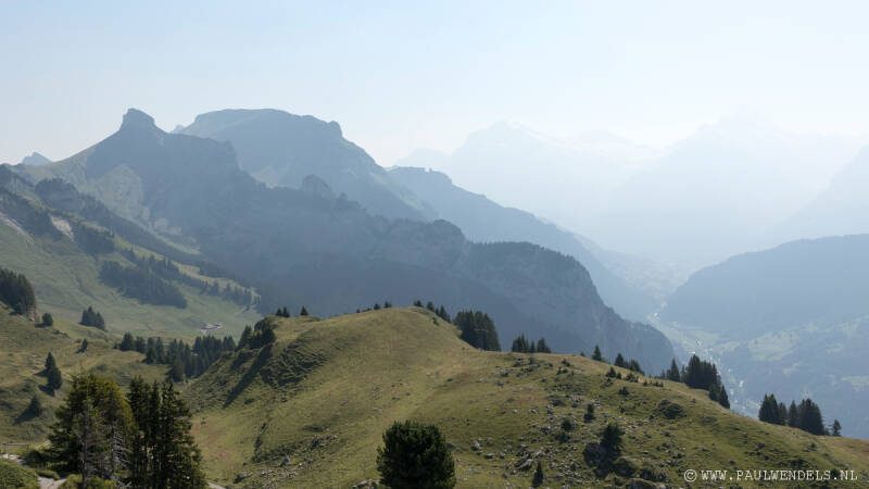 img_6253kopie-border-standard.jpg