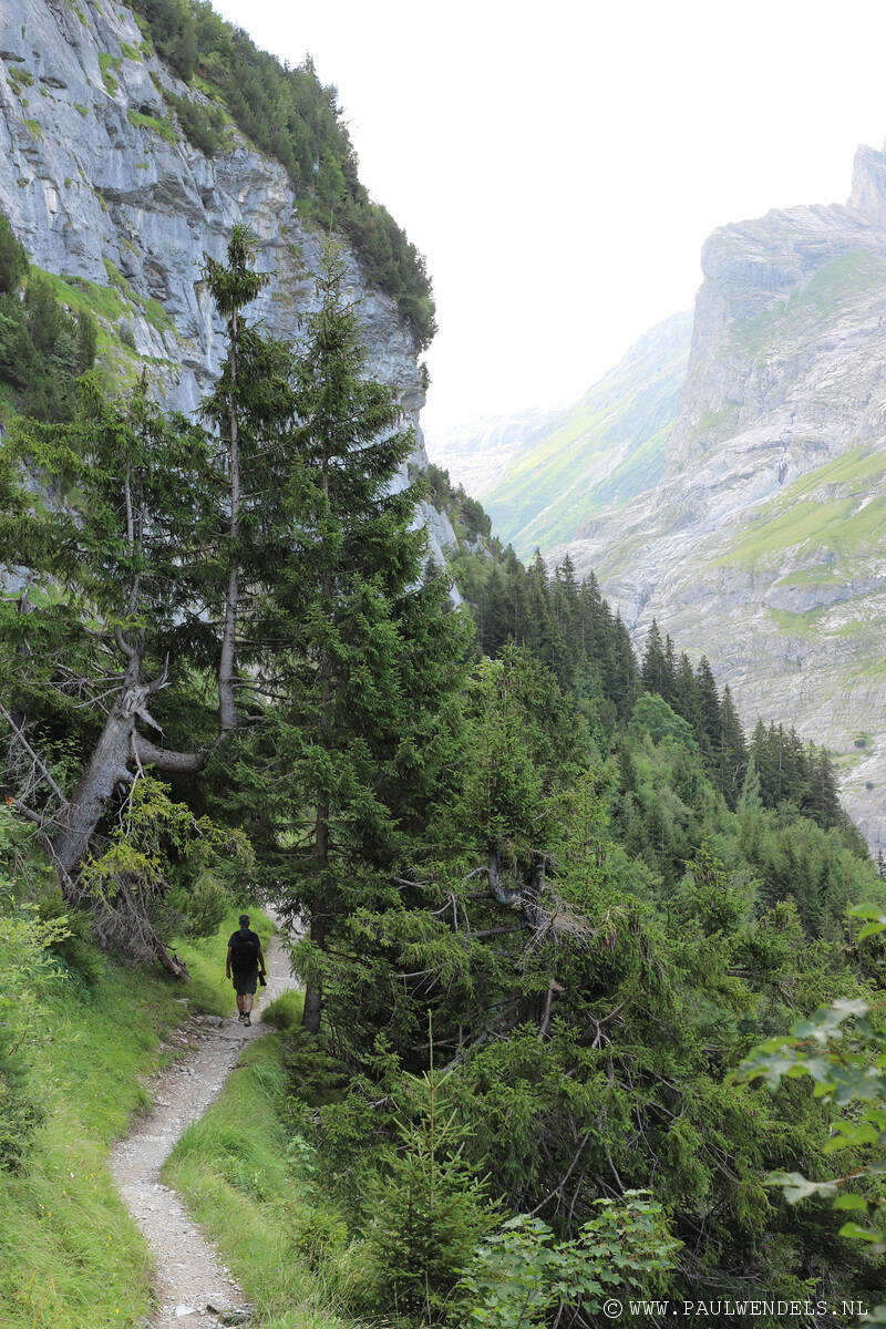 img_6274kopie-border-standard.jpg
