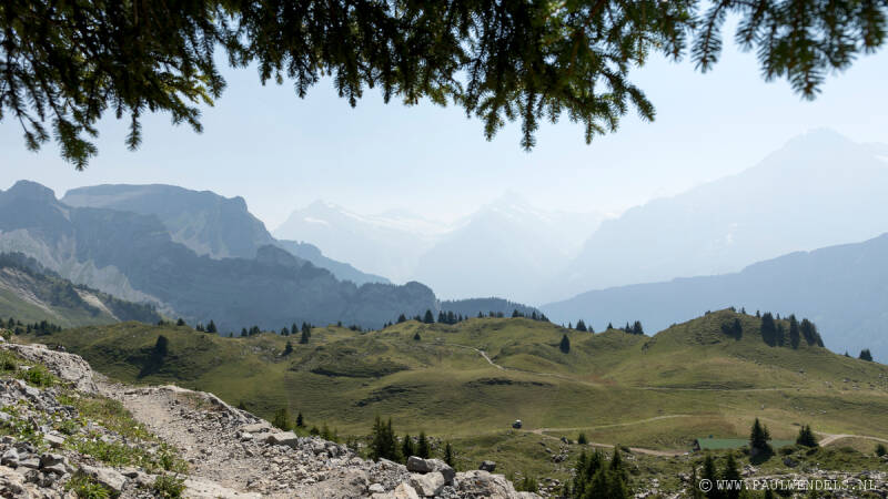 img_6471kopie-border-standard.jpg