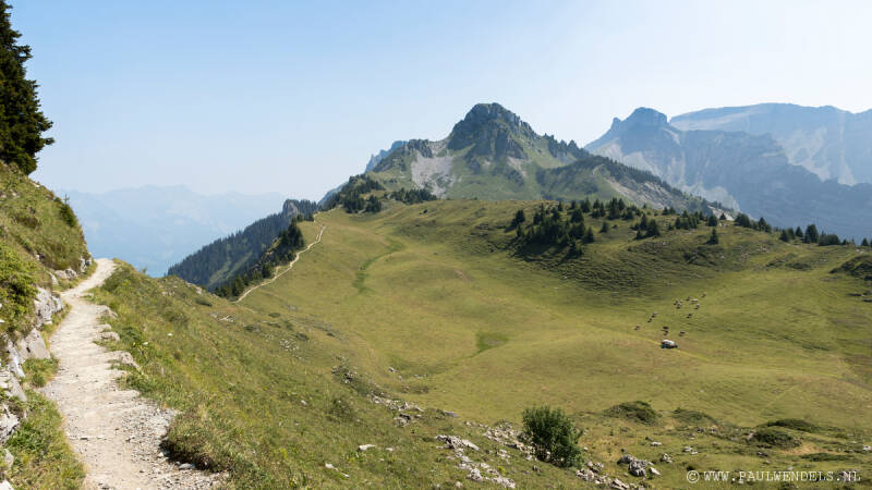 img_6489kopie-border-standard.jpg