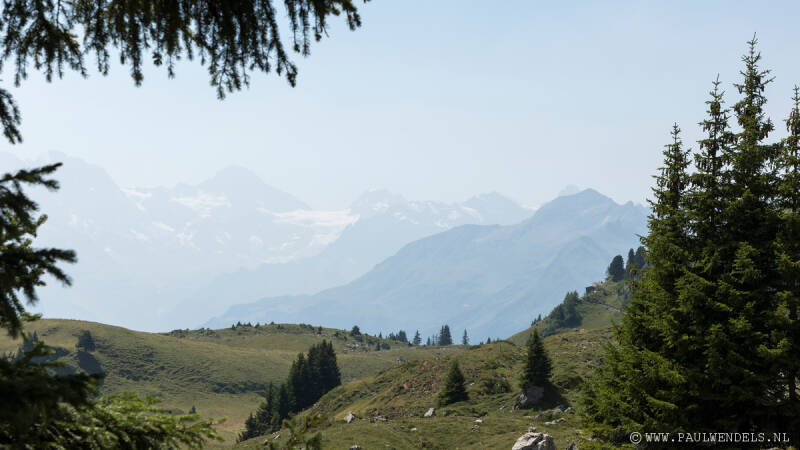 img_6522kopie-border-standard.jpg