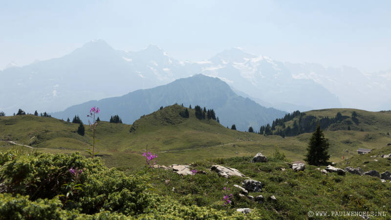 img_6529kopie-border-standard.jpg