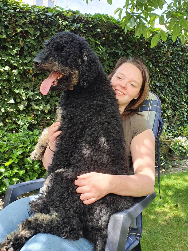 trimsalon ettenleur etten gediplomeerde