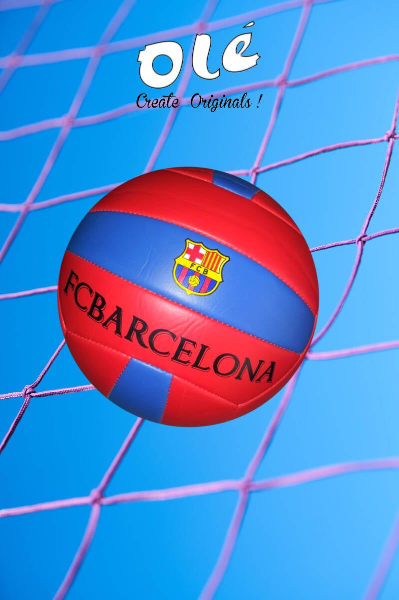 balls-volley-0-standard.jpg