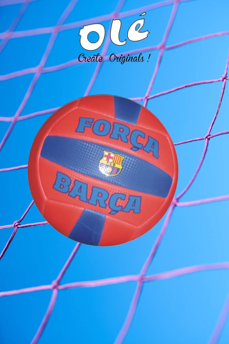 balls-volley-4-standard.jpg