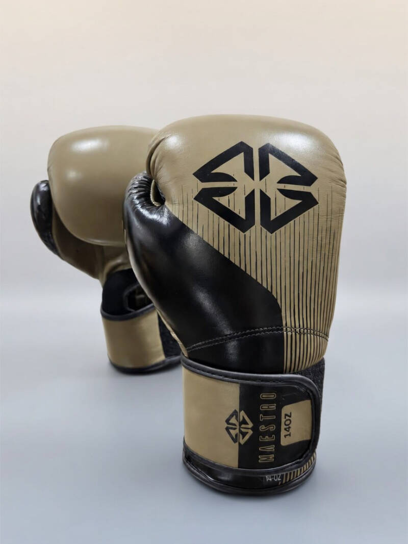 boxing-2027-2-standard-46n63k.jpg