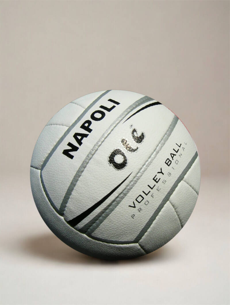 og-ball-beach-volley-12-standard-dg6m3v.jpg