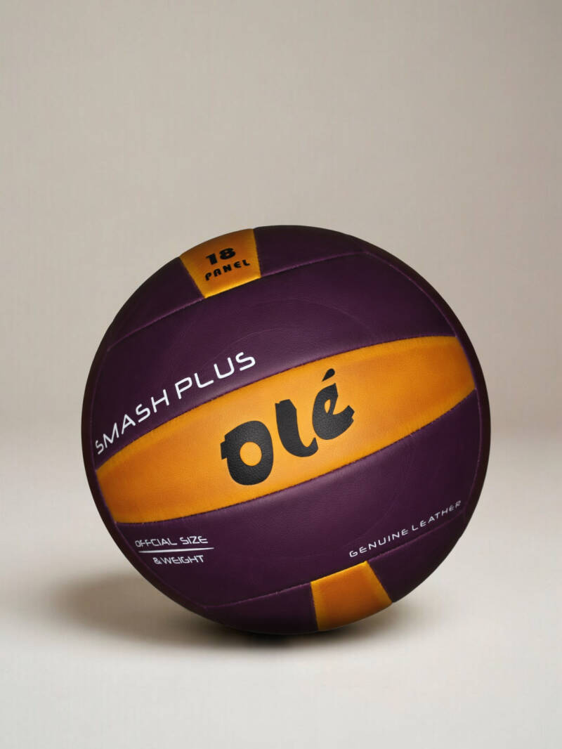 og-ball-beach-volley-18-standard-edwrqx.jpg