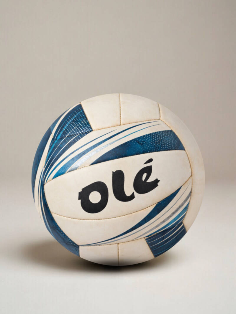 og-ball-beach-volley-21-standard-zsna6r.jpg