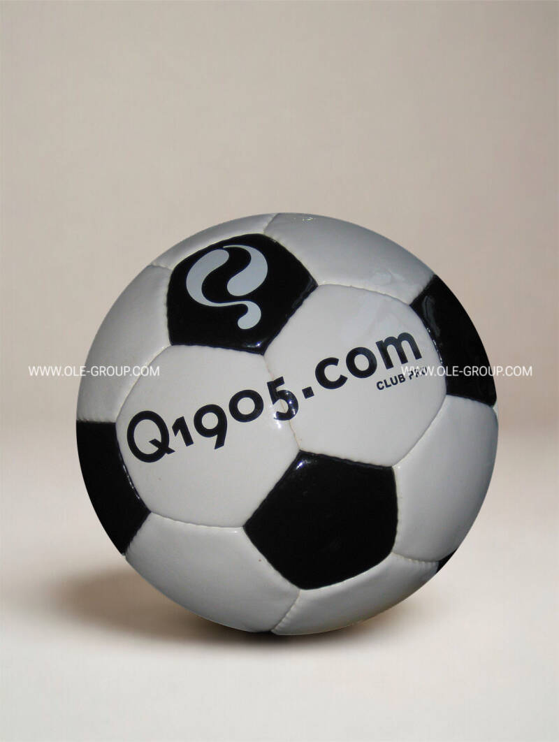 og-ball-quick-sport-17-standard.jpg