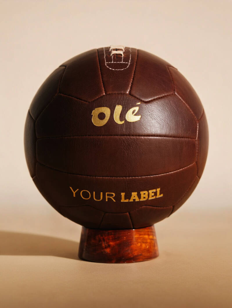 og-ball-retro-4-standard-avhgdo.jpg