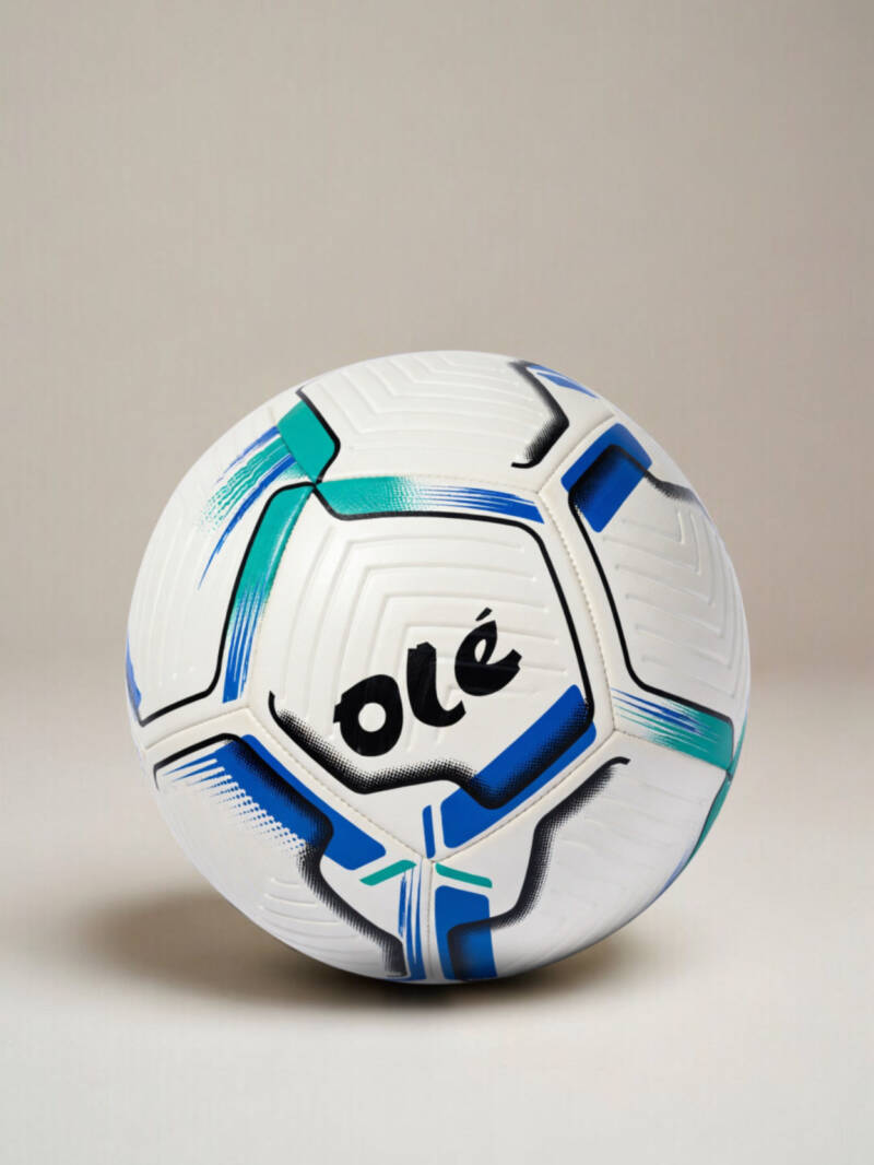 og-ball-soccer-12-panel-3-standard.jpg