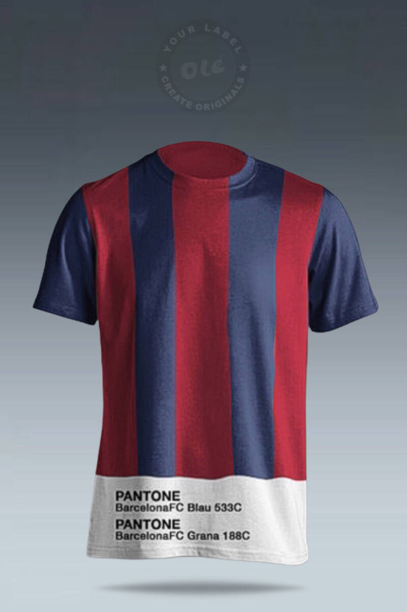 og-oem-odm-pantone-barcelona-fc-standard.jpg