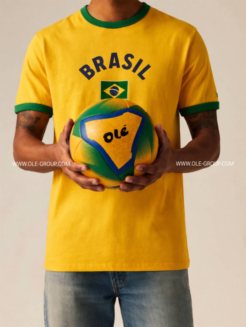 og-world-cup-brasil-standard.jpg