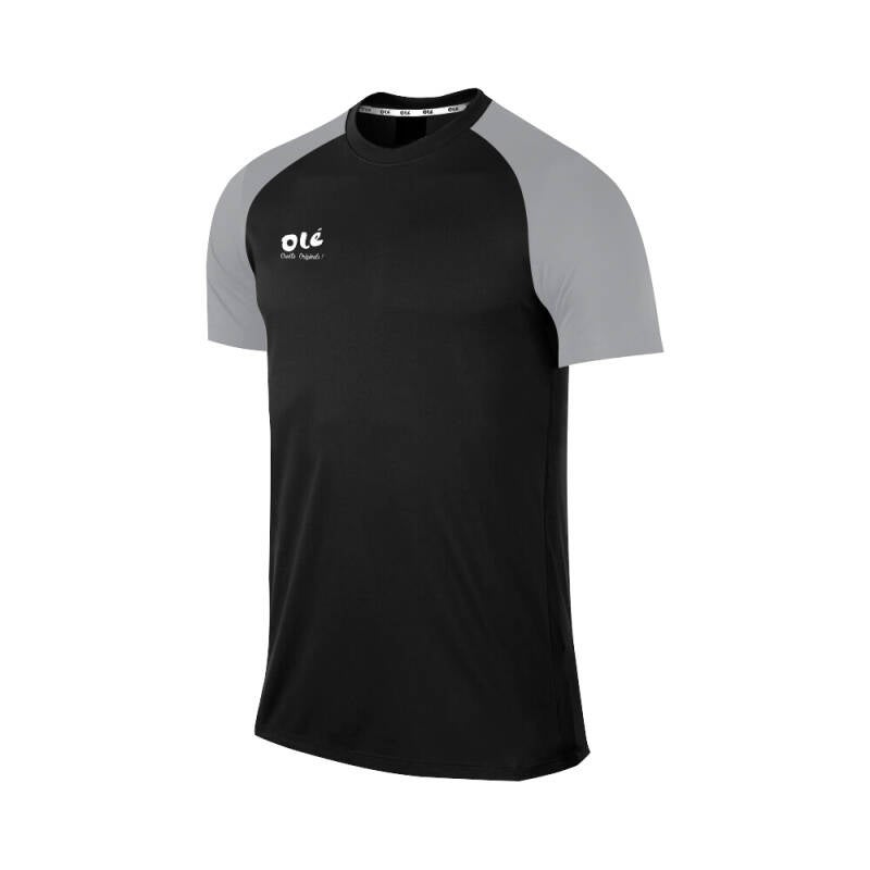 t-shirt-1-standard.jpg