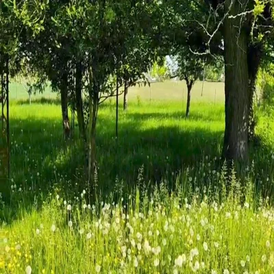 image-high-dbabj2-standard-w777xp.webp