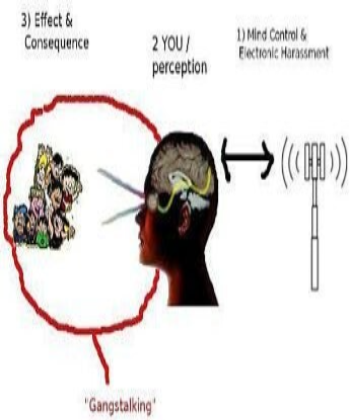 Electronic tourture.