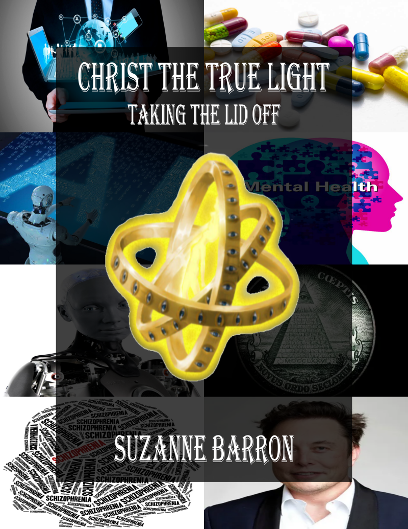 Book cover with title "Christ the True Light: Taking the Lid Off" by Suzanne Barron, featuring various images. 