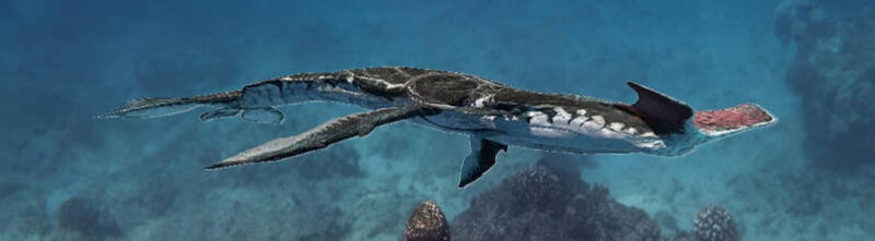 Biblical Parallels: Pandora's Tulkun