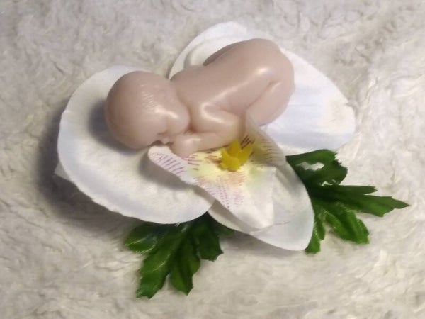 Babyzeepje in orchidee 095