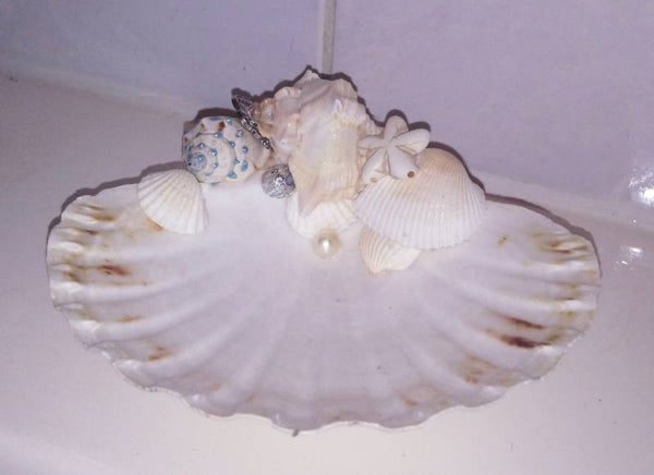 Zeepbakje van schelpen 059.