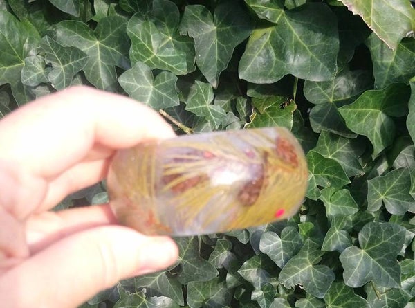 Dennentakkenarmband 0105.