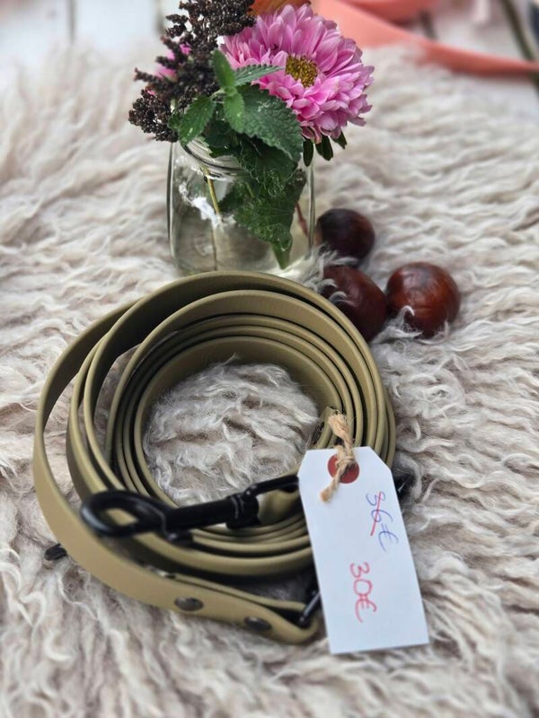 Biothaneleine 2,20m in 19mm