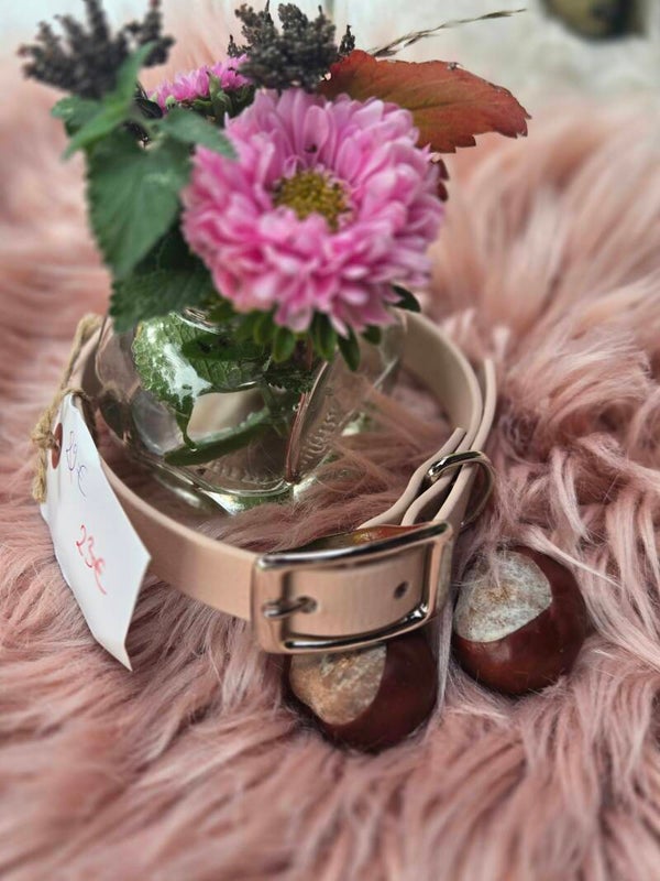 Halsband Rio 22-25cm