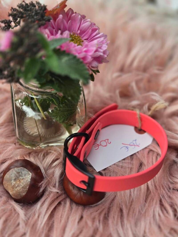 Halsband Rio 22-25cm