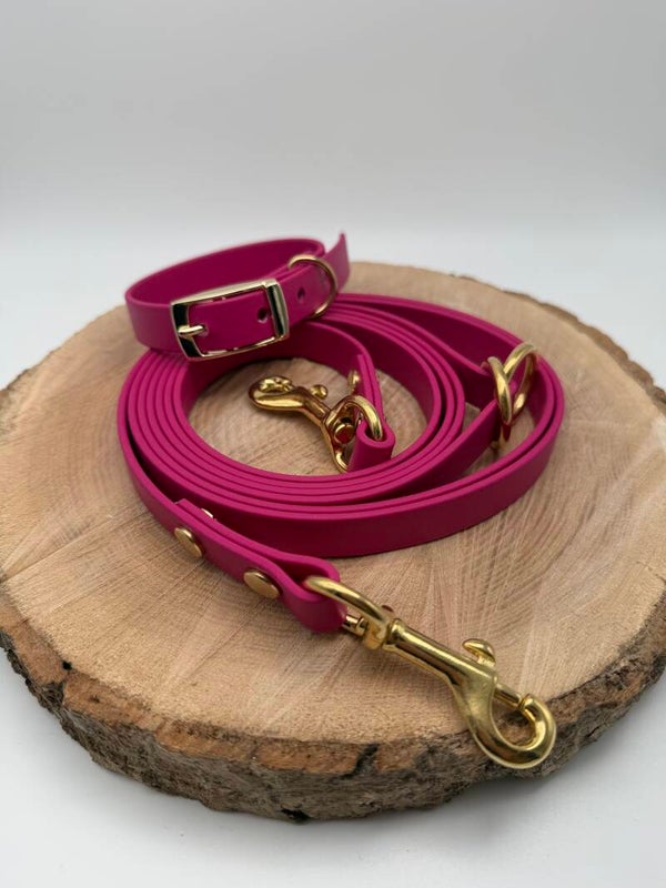 Halsband 22-25cm und 2,20m Leine