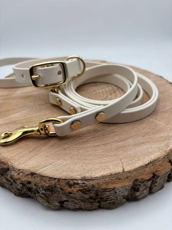 Halsband 22-25cm und 2,20m Leine
