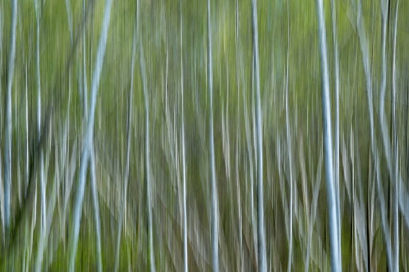 ICM-DSCF8538