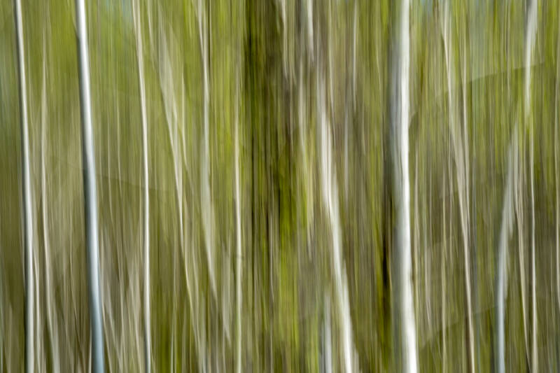 ICM-DSCF8553