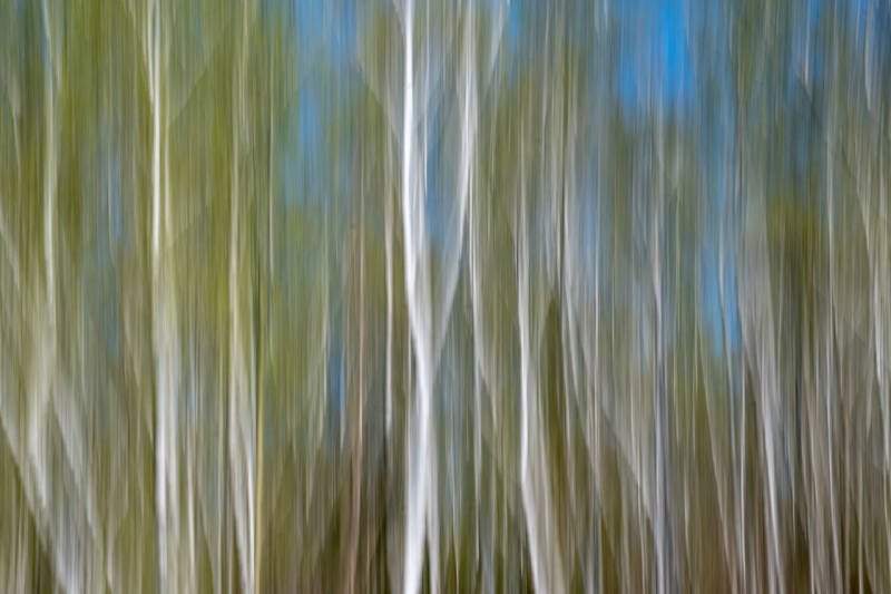 ICM-DSCF8570