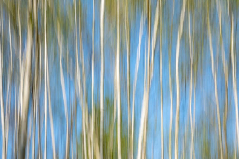 ICM-DSCF8571