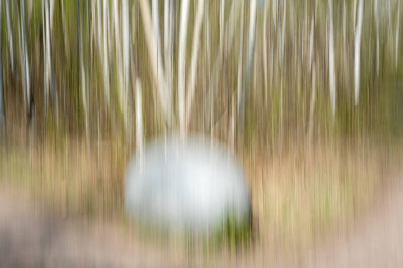 ICM-DSCF8580