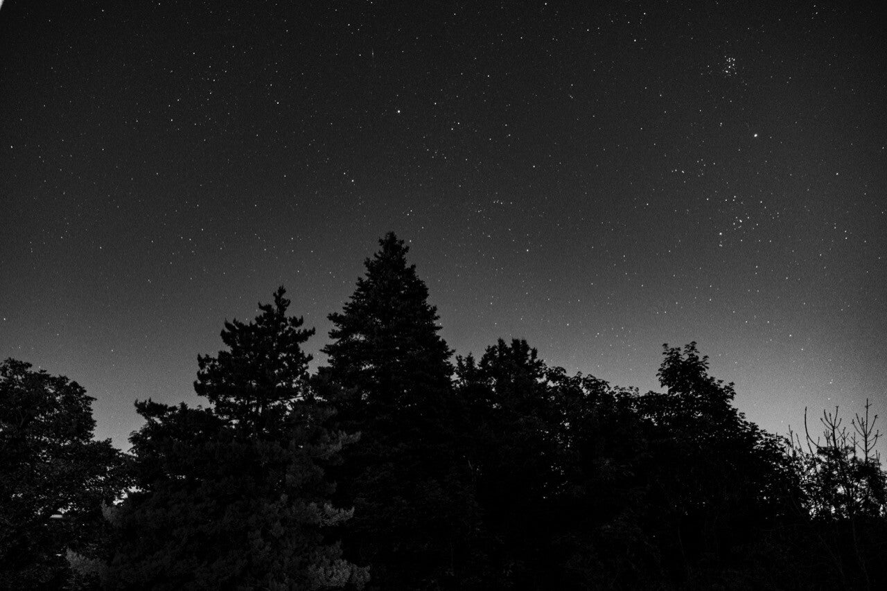 © Brigitte Schmitz-Heller