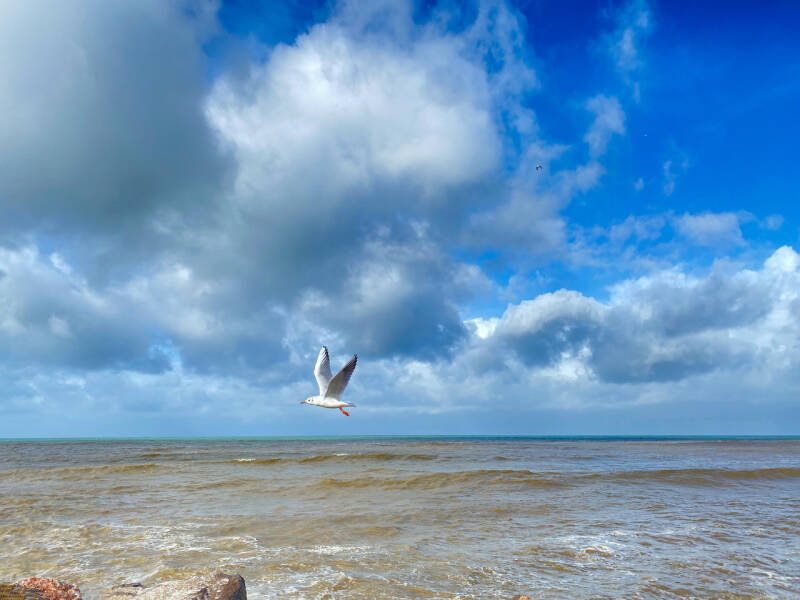 Himmel-IMG3308-Wissant-102023