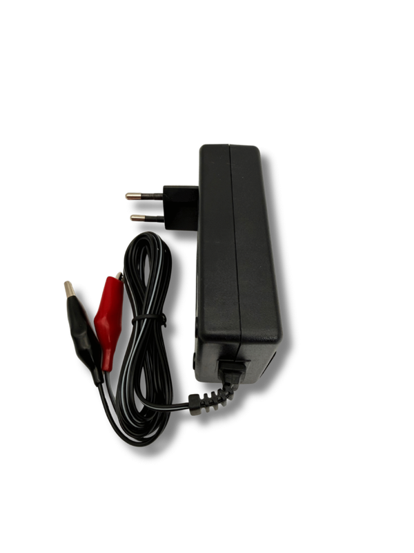 Automatische acculader 2V-6V-12V