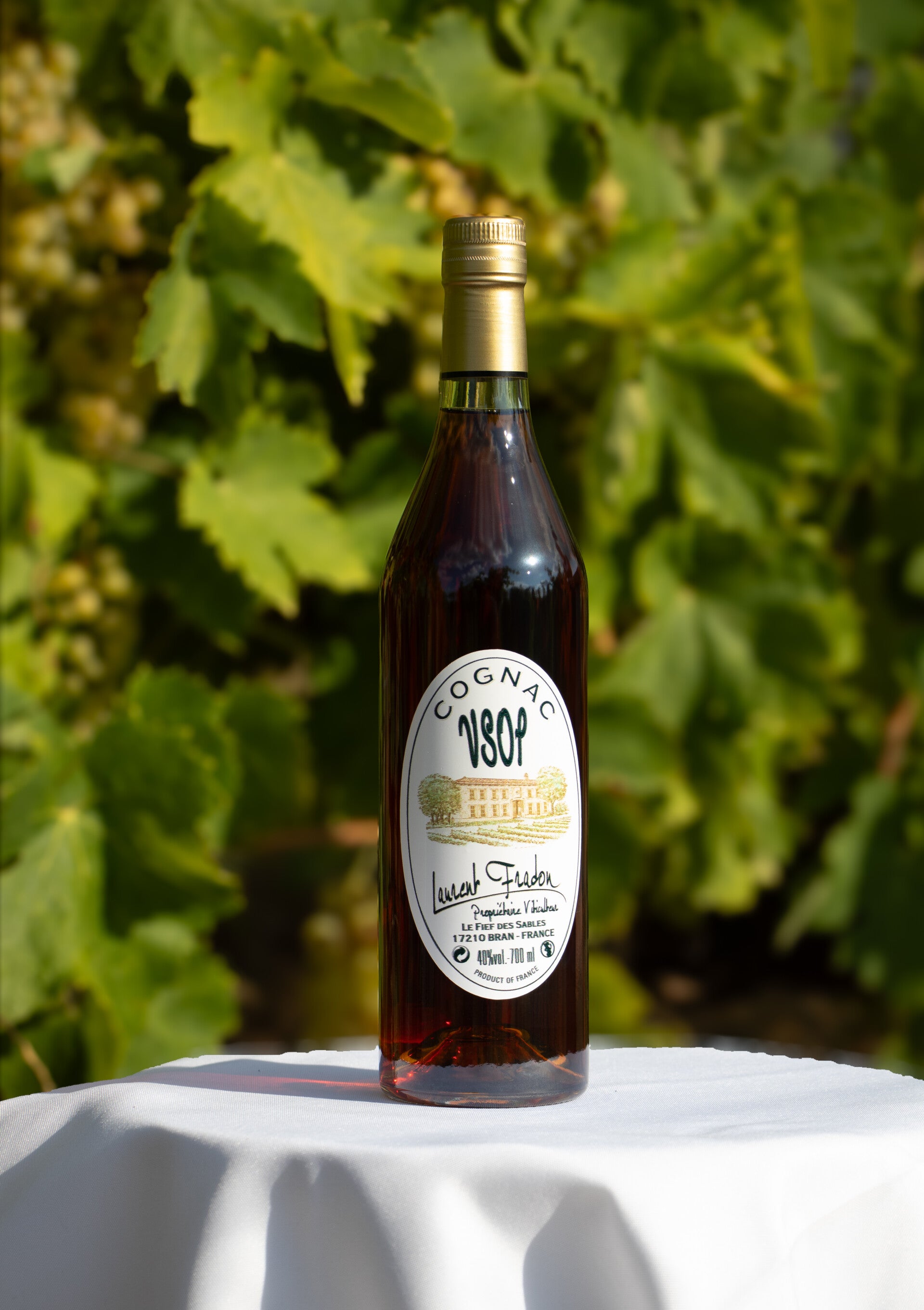 Cognac VSOP