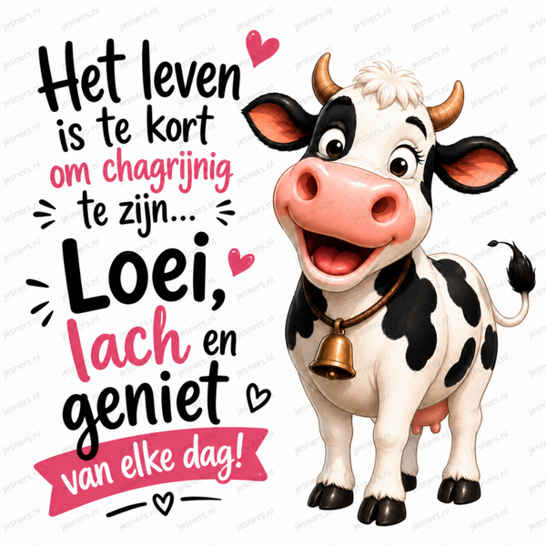 Het leven is te kort