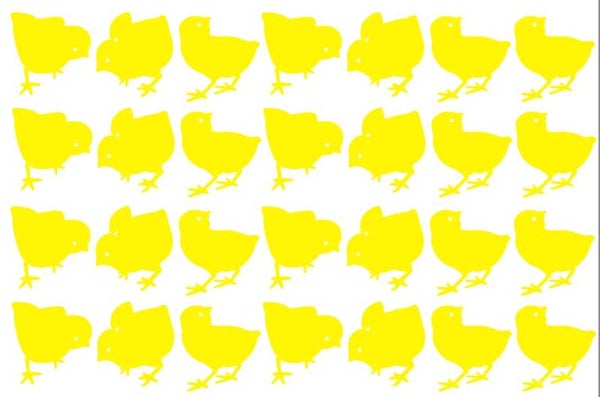 Raamsticker Kuikentjes