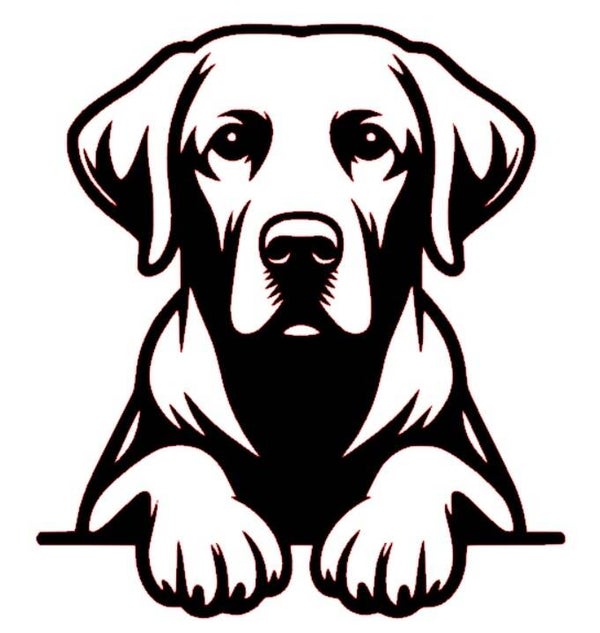 Labrador sticker `gluren bij de buren`