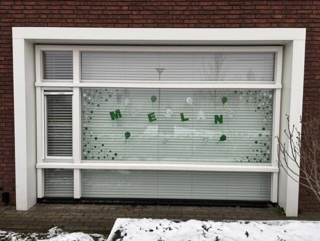 Raamsticker Moesland