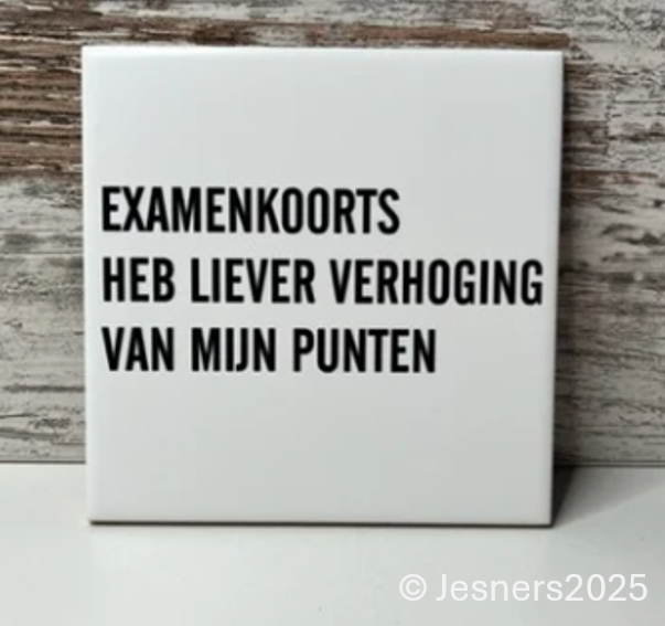 Tegeltje examenkoorts