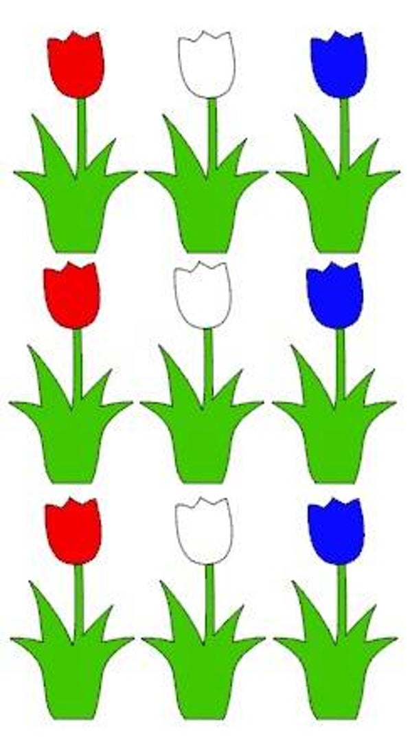 Raamsticker tulpen rood/wit/blauw