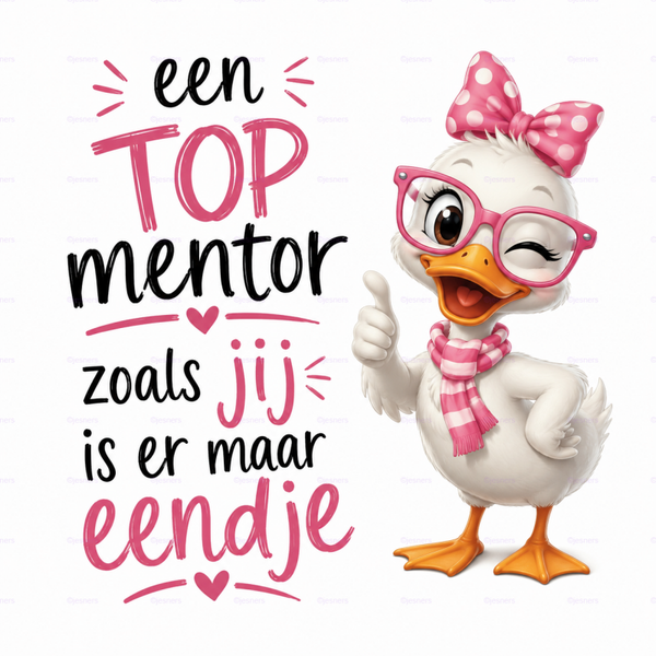 Tegeltje Einde schooljaar Top Mentor